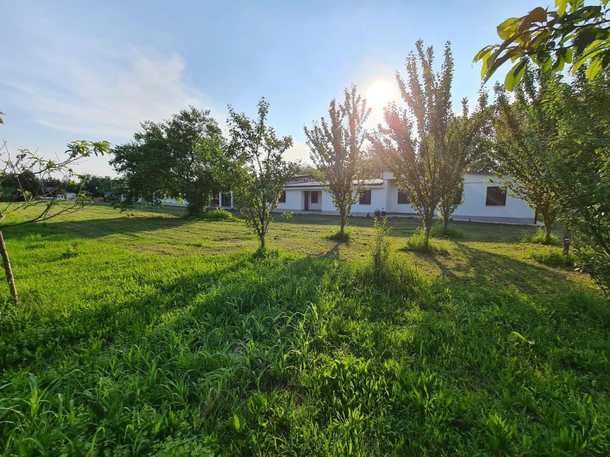 Вилла Agriturismo Ca Novak Venezia Спинея Экстерьер фото